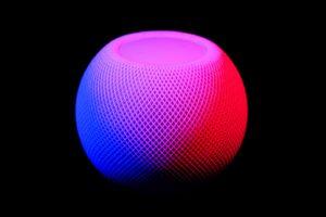Voice Search for SEO