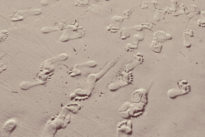 Digital Footprints That Last: Powered by Your SEO Agency Services