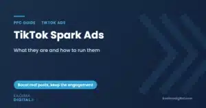 TikTok Spark Ads guide cover